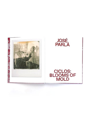 Ciclos: Blooms of Mold by Jose Parla
