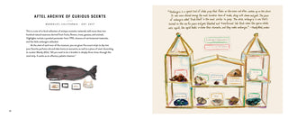 Footnotes from the Most Fascinating Museums