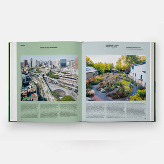 The Contemporary Garden