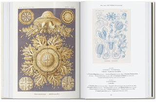 Art and Science of Ernst Haeckel, 45th Edition