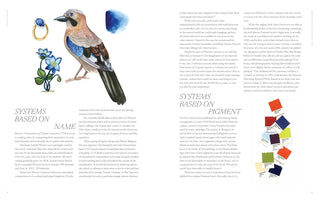Color Curious: Find Color Inspiration All Around You for Art, Design, and Life