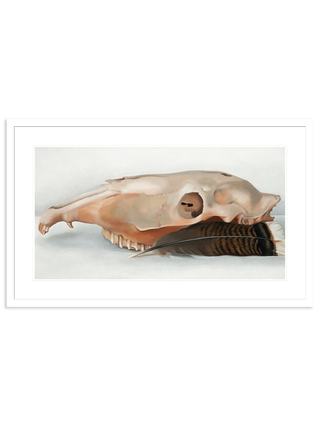 Horizontal Horse's or Mule's Skull with Feather by Georgia O'Keeffe